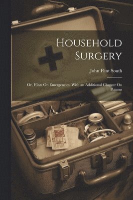 John Flint South - Household Surgery, Häftad