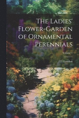 bokomslag The Ladies' Flower-Garden of Ornamental Perennials; Volume 1