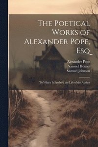 bokomslag The Poetical Works of Alexander Pope, Esq