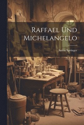 bokomslag Raffael Und Michelangelo
