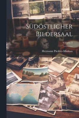 Hermann Pückler-Muskau - Südöstlicher Bildersaal; Volume 3, Häftad