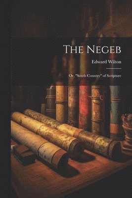 The Negeb 1