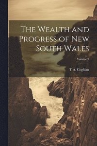 bokomslag Wealth and Progress of New South Wales; Volume 2