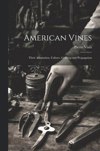bokomslag American Vines