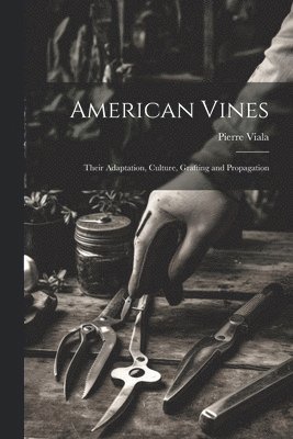 American Vines 1