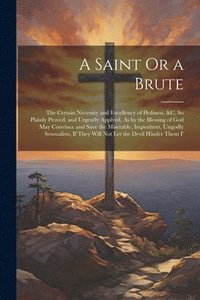 bokomslag A Saint Or a Brute