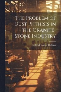 bokomslag The Problem of Dust Phthisis in the Granite-Stone Industry