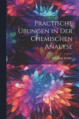 bokomslag Practische bungen in Der Chemischen Analyse