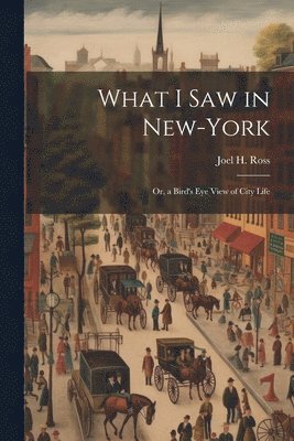 bokomslag What I Saw in New-York