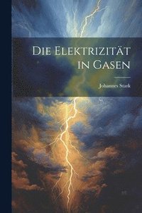 bokomslag Die Elektrizitt in Gasen