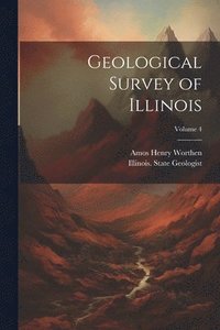 bokomslag Geological Survey of Illinois; Volume 4