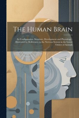 The Human Brain 1