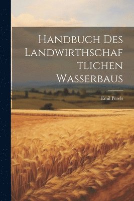 Handbuch Des Landwirthschaftlichen Wasserbaus 1