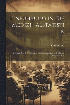 bokomslag Einführung in Die Medizinalstatistik