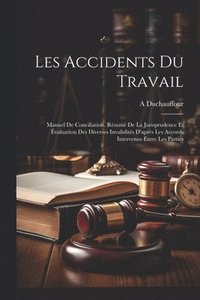 bokomslag Les Accidents Du Travail