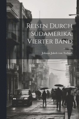 bokomslag Reisen durch Sdamerika, Vierter Band