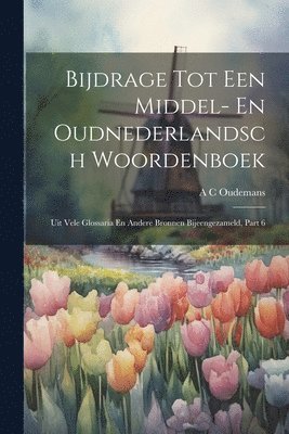 Bijdrage Tot Een Middel- En Oudnederlandsch Woordenboek 1