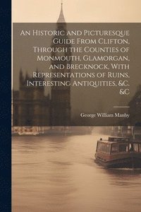bokomslag Historic and Picturesque Guide From Clifton, Through the Counties of Monmouth, Glamorgan, and Brecknock, With Representations of Ruins, Interesting Antiquities, &c. &c