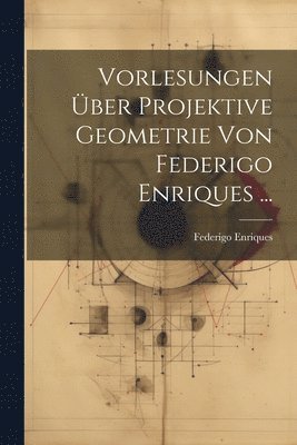 Vorlesungen ber Projektive Geometrie Von Federigo Enriques ... 1