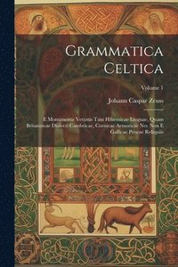bokomslag Grammatica Celtica: E Monumentis Vetustis Tain Hibernicae Linguae, Quam Britannicae Dialecti Cambricae, Cornicae Armoricae Nec Non E Galli