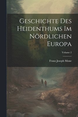 bokomslag Geschichte Des Heidenthums Im Nrdlichen Europa; Volume 2