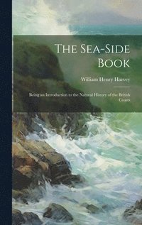 bokomslag The Sea-side Book