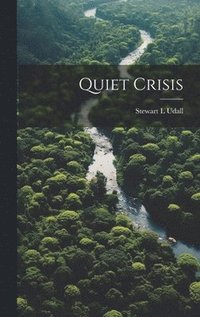 bokomslag Quiet Crisis