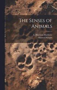 bokomslag Senses of Animals