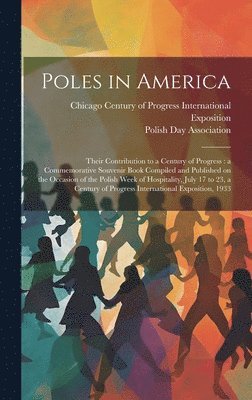 bokomslag Poles in America