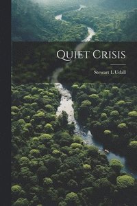 bokomslag Quiet Crisis