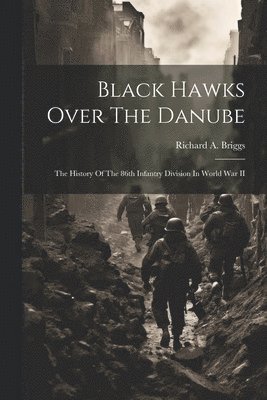 Black Hawks Over The Danube 1