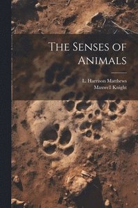 bokomslag The Senses of Animals