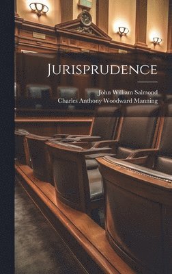 bokomslag Jurisprudence