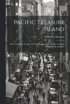 bokomslag Pacific Treasure Island