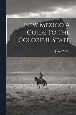 bokomslag New Mexico A Guide To The Colorful State