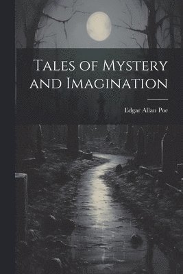 bokomslag Tales of Mystery and Imagination