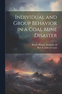 bokomslag Individual and Group Behavior in a Coal Mine Disaster