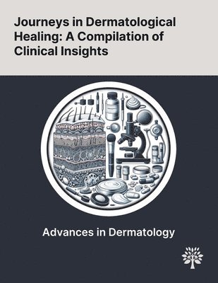 bokomslag Journeys in Dermatological Healing