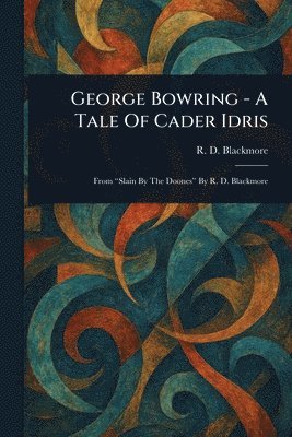 R D (Richard Doddridge) Blackmore - George Bowring - A Tale Of Cader Idris, Häftad