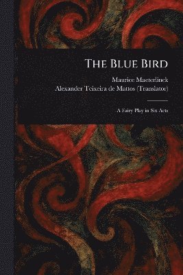 bokomslag Blue Bird