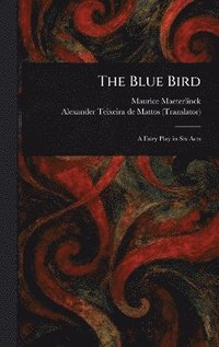 bokomslag Blue Bird
