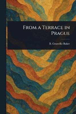 From a Terrace in Prague 1
