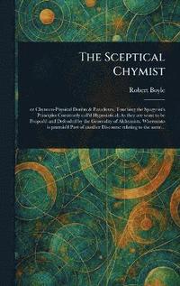 bokomslag Sceptical Chymist