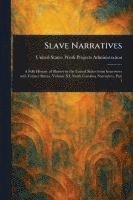 bokomslag Slave Narratives