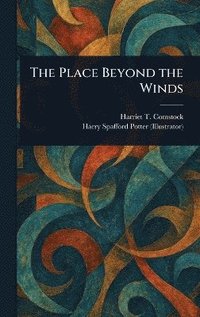 bokomslag Place Beyond the Winds