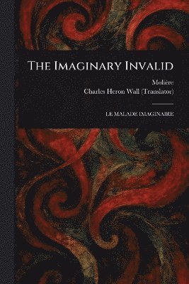 bokomslag Imaginary Invalid