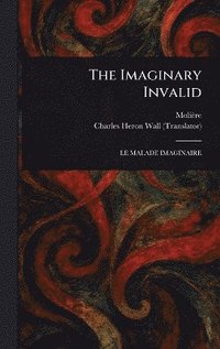 bokomslag Imaginary Invalid