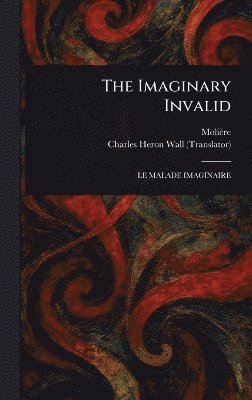 bokomslag Imaginary Invalid