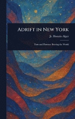 bokomslag Adrift in New York