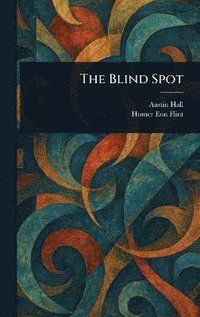 bokomslag Blind Spot